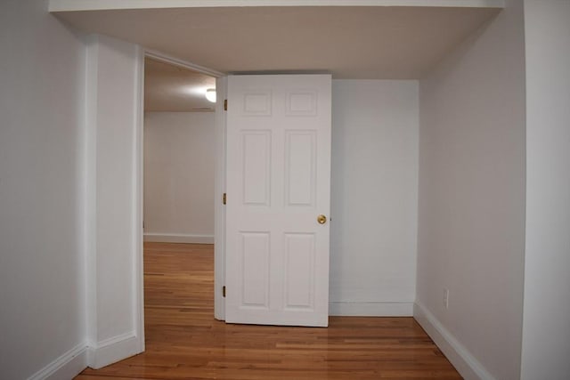 hall featuring wood-type flooring