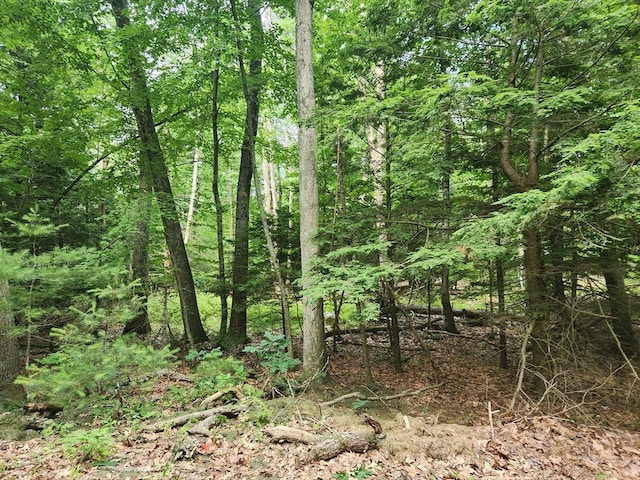 Listing photo 2 for LOT4 Greenwood St, Sherborn MA 01770