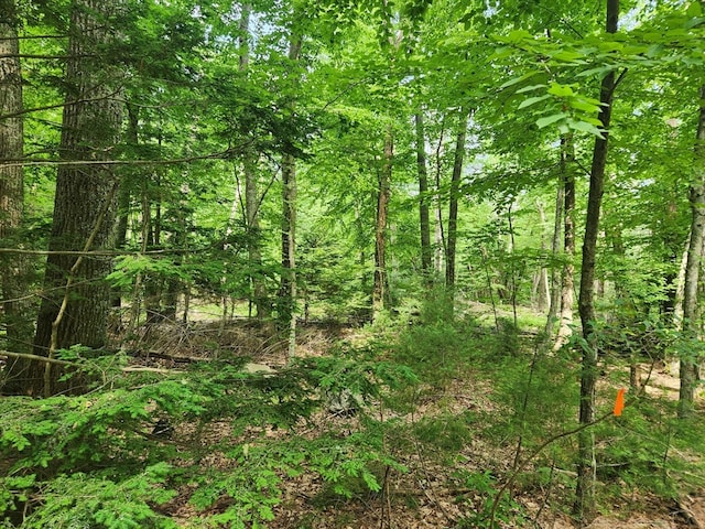 Listing photo 3 for LOT4 Greenwood St, Sherborn MA 01770