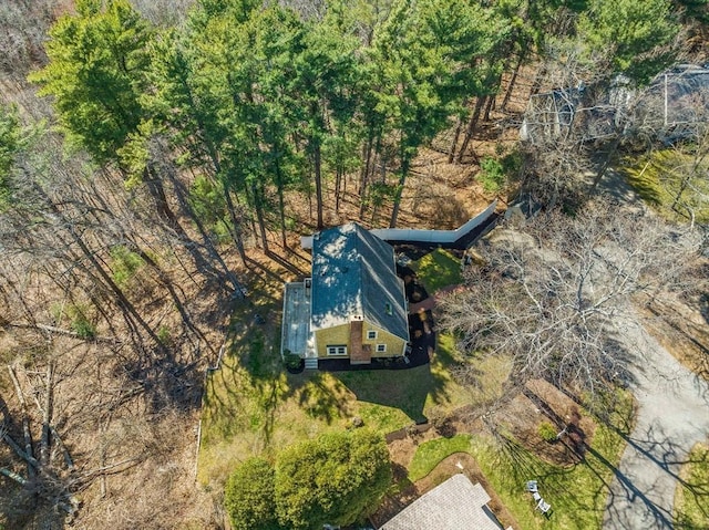 bird's eye view