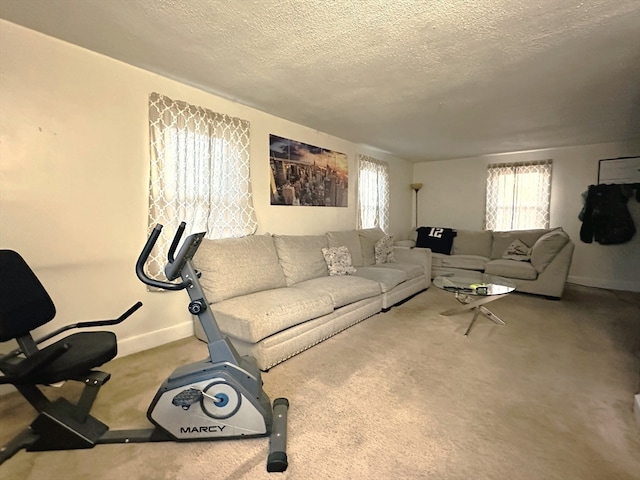 carpeted living room with a textured ceiling