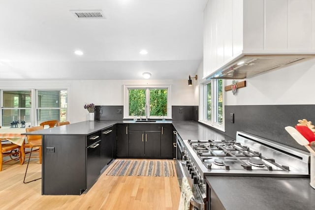 kitchen with stainless steel gas stove, custom exhaust hood, a peninsula, light wood-style floors, and a sink