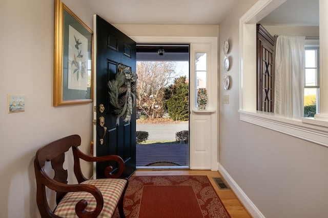 entryway featuring wood-type flooring