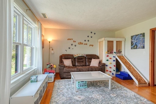 161 Randall Rd, Berlin, MA 01503 - living area with a textured ceiling and light wood finished floors