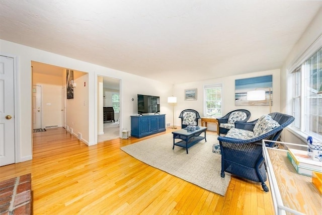 living room featuring hardwood / wood-style flooring