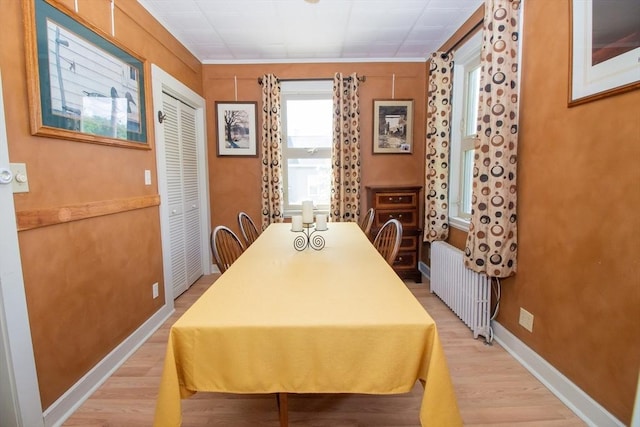 dining area featuring light wood-type flooring and radiator