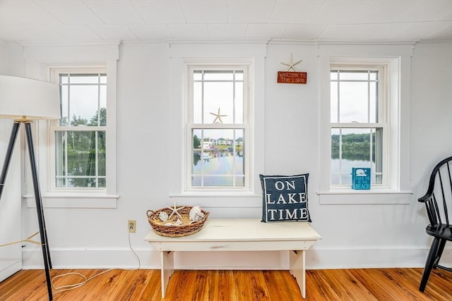 3 Lakeside Ave, Lunenburg, MA 01462 - living area featuring wood finished floors, plenty of natural light, baseboards, and a water view