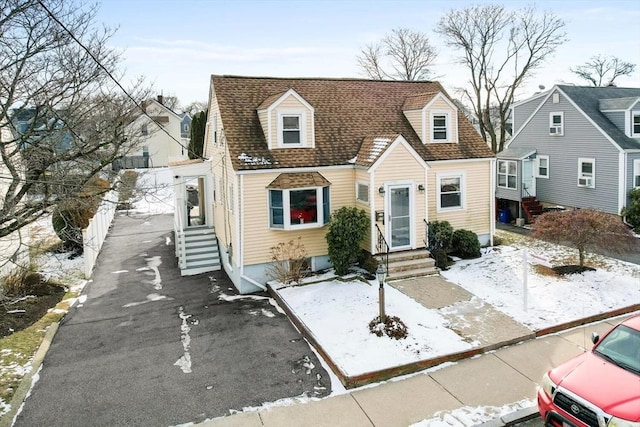 view of cape cod house