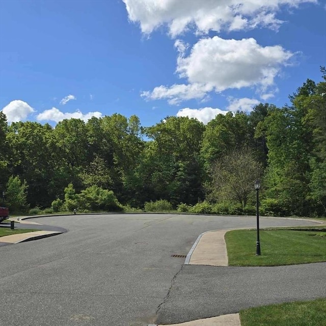 51 Alexandras Way, Brockton, MA 02301 - view of road featuring street lights, sidewalks, and a wooded view