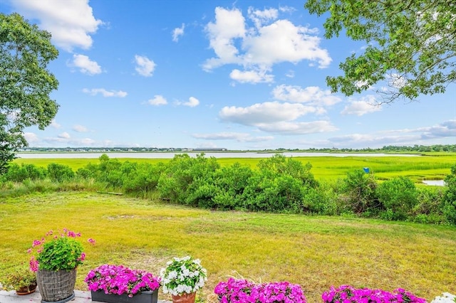 16 Gulls Cove Rd, Yarmouth, MA 02673 - view of green lawn