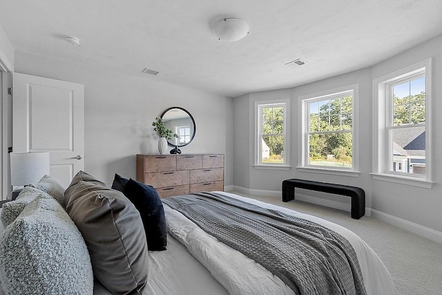 65 Palmetto Dr Unit 65, Bellingham, MA 02019 - bedroom with multiple windows, carpet, and baseboards