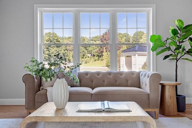 65 Palmetto Dr Unit 65, Bellingham, MA 02019 - living room featuring baseboards and wood finished floors