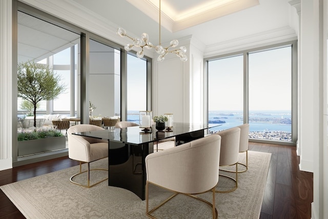 interior space featuring a notable chandelier, crown molding, a tray ceiling, and dark wood-type flooring