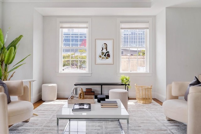 14 S Waverly St Unit 14, Boston, MA 02135 - living area featuring healthy amount of natural light, baseboards, and wood finished floors