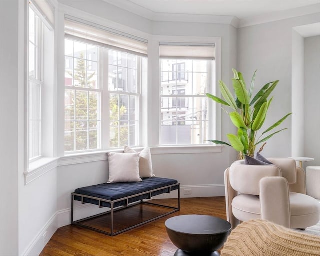 14 S Waverly St Unit 14, Boston, MA 02135 - living area featuring wood finished floors, baseboards, and ornamental molding
