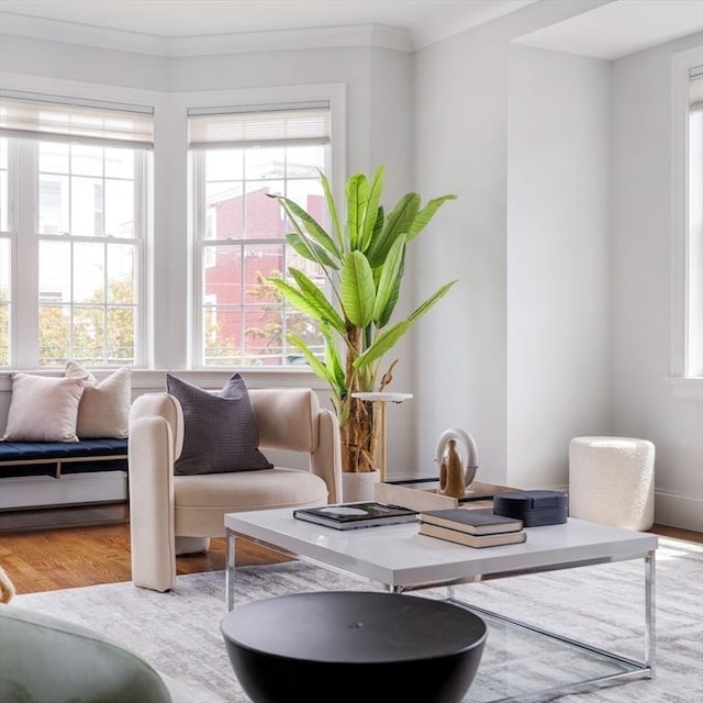 14 S Waverly St Unit 14, Boston, MA 02135 - living area featuring wood finished floors, healthy amount of natural light, and crown molding