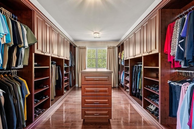 view of walk in closet