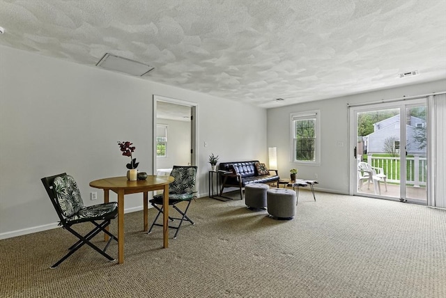 1 New Castle Rd, Ashland, MA 01721 - sitting room featuring a textured ceiling, carpet floors, and baseboards