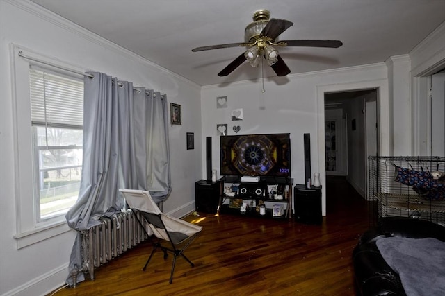 320 Oakland St, Springfield, MA 01108 - living room with radiator, wood finished floors, crown molding, a ceiling fan, and baseboards