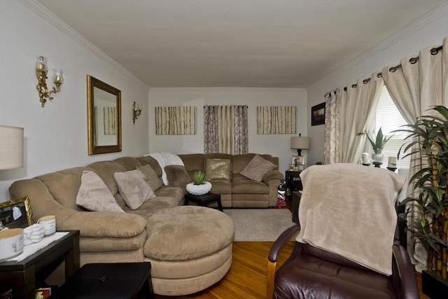 320 Oakland St, Springfield, MA 01108 - living room featuring ornamental molding and wood finished floors
