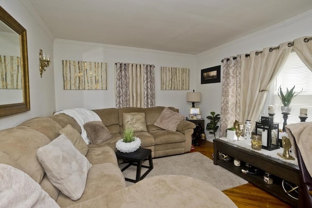 320 Oakland St, Springfield, MA 01108 - living room featuring wood finished floors and crown molding
