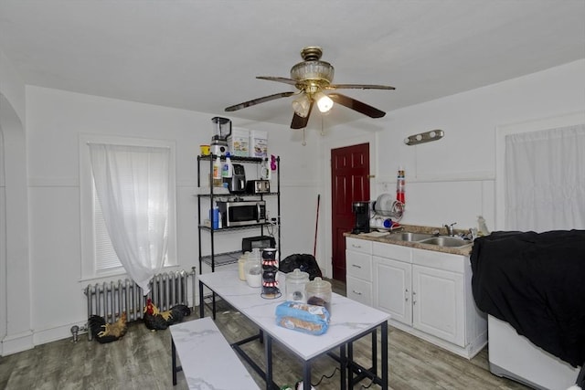 320 Oakland St, Springfield, MA 01108 - kitchen with radiator heating unit, stainless steel microwave, a sink, a ceiling fan, and arched walkways
