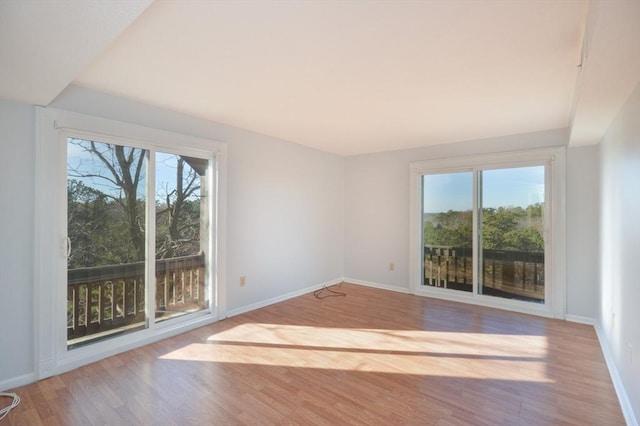 spare room with light hardwood / wood-style floors