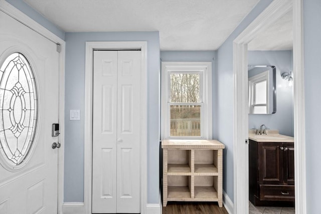 foyer entrance featuring sink