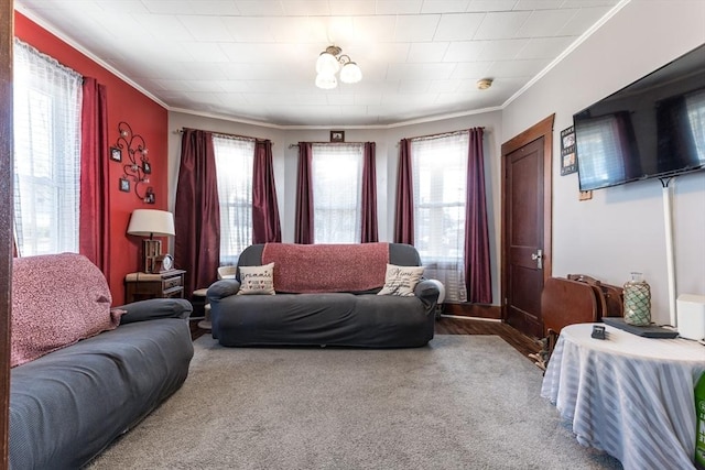 living room with a healthy amount of sunlight, crown molding, and carpet floors