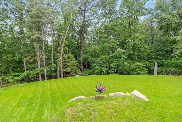 98 Old Forge Rd, Scituate, MA 02066 - view of grassy yard