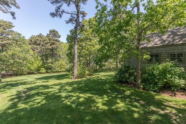 28 Marthas Rd, Edgartown, MA 02539 - view of green lawn