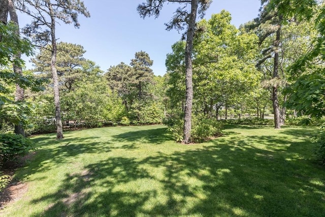28 Marthas Rd, Edgartown, MA 02539 - view of green lawn