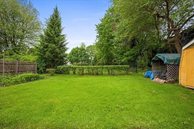 29 Tatman St, Worcester, MA 01607 - view of yard