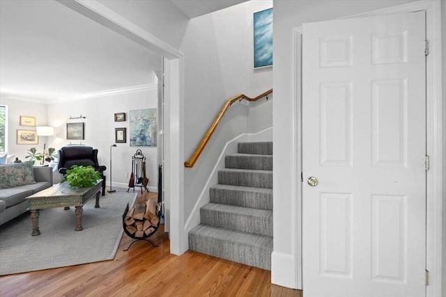 interior space featuring wood-type flooring and ornamental molding