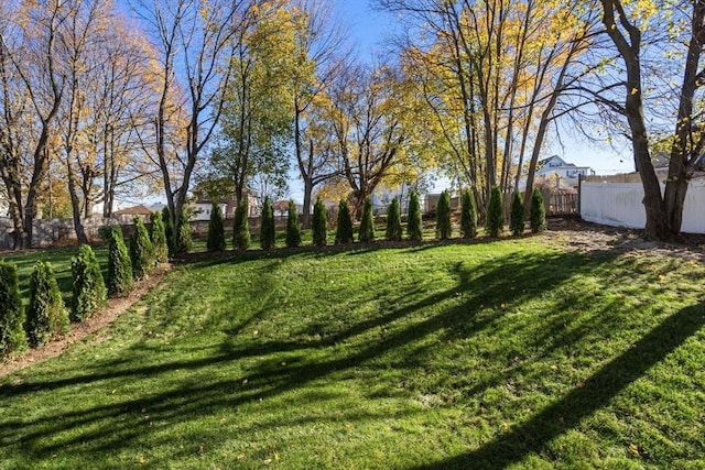 view of yard with a fenced backyard