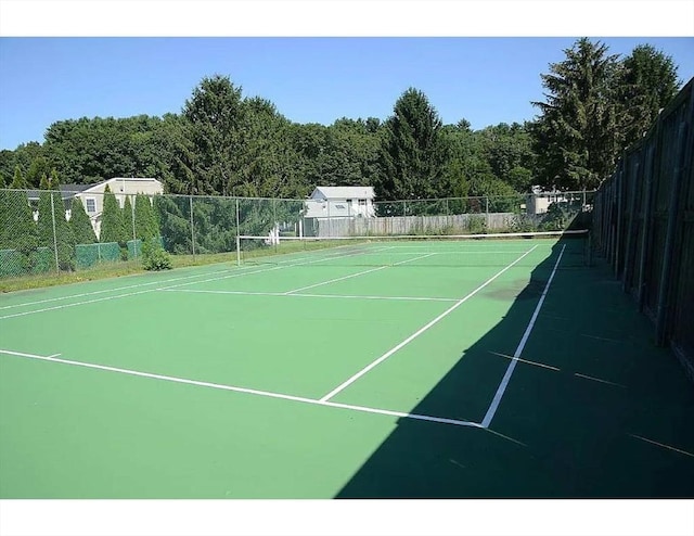 5 Hallmark Gdns Unit 6, Burlington, MA 01803 - view of tennis court
