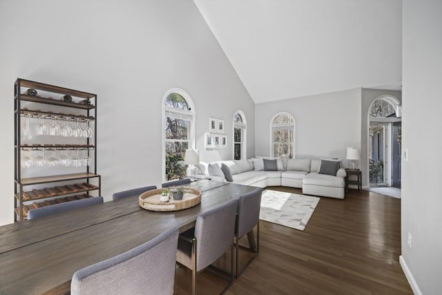 65 Sheffield Ter, Marlborough, MA 01752 - living room featuring high vaulted ceiling, wood finished floors, and baseboards