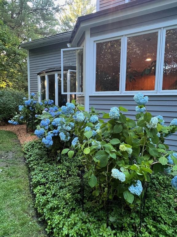 65 Sheffield Ter, Marlborough, MA 01752 - view of home's exterior