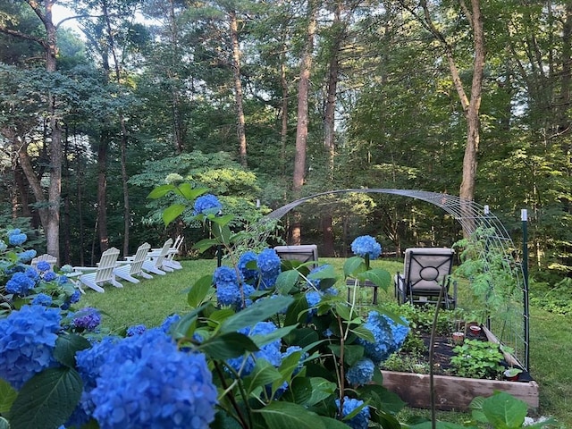 65 Sheffield Ter, Marlborough, MA 01752 - view of yard featuring a vegetable garden and a forest view