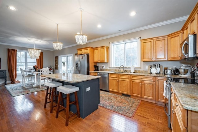 kitchen featuring a center island, wood-type flooring, pendant lighting, and appliances with stainless steel finishes