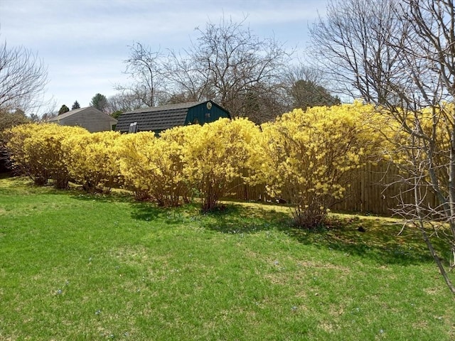 view of yard