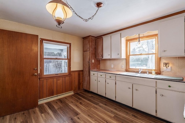 kitchen featuring a wainscoted wall, a sink, white cabinetry, light countertops, and dark wood finished floors