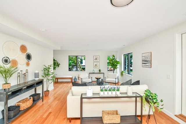 living room with light wood-type flooring