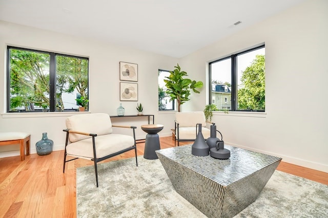 living area featuring a wealth of natural light and light hardwood / wood-style floors