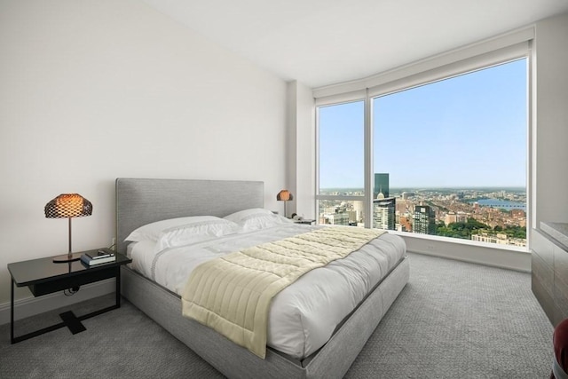 240 Devonshire St Unit 4003, Boston, MA 02110 - carpeted bedroom featuring a view of city