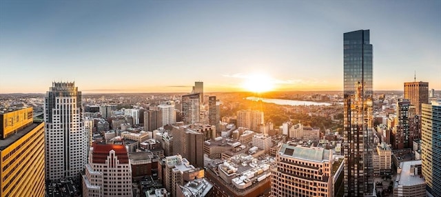 240 Devonshire St Unit 4003, Boston, MA 02110 - view of city