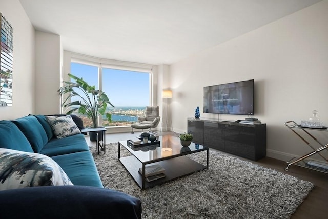 240 Devonshire St Unit 4003, Boston, MA 02110 - living area with wood finished floors and plenty of natural light