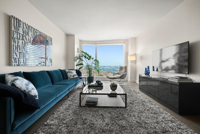 240 Devonshire St Unit 4003, Boston, MA 02110 - living room with wood finished floors