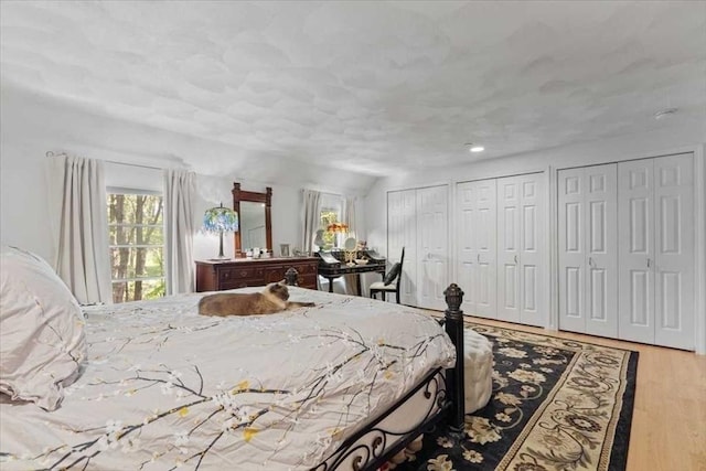 8 Deer Path Unit 8, Hudson, MA 01749 - bedroom with multiple closets and wood finished floors