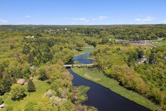 8 Deer Path Unit 8, Hudson, MA 01749 - aerial overview of property's location with a heavily wooded area and a nearby body of water